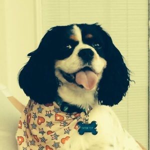 Meet your Posher, Diana